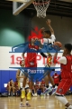 MGS0810