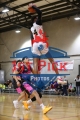1stpickphotos.com-462