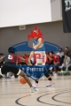 1stpickphotos.com-23