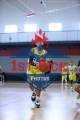 1stpickphotos.com-78