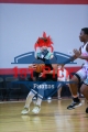1stpickphotos.com-85