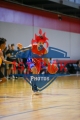 1stpickphotos.com-116