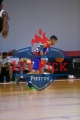 1stpickphotos.com-257