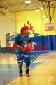 1stPickphotos.com_230