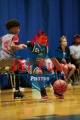 1stPickphotos.com_244