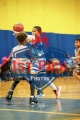 1stPickphotos.com_256