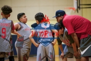 1stPickphotos.com_271