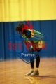 1stPickphotos.com_28