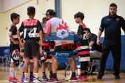 1stPickphotos.com_52