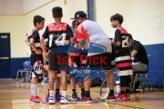 1stPickphotos.com_53