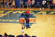 1stPickphotos.com_73