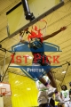 1stPickphotos.com_13