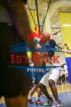 1stPickphotos.com_3