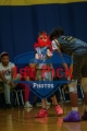 1stPickphotos.com_115