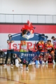 1stpickphotos.com-302