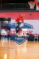1stpickphotos.com-225