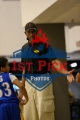 1stpickphotos.com-163