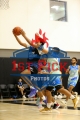 1stpickphotos.com-68