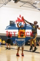 1stpickphotos.com-235