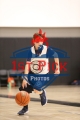 1stpickphotos.com-2