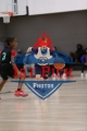 1stpickphotos.com-9