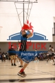 1stpickphotos.com-427