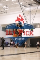 1stpickphotos.com-478