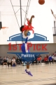 1stpickphotos.com-67