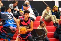 1stPickphotos-_294_217