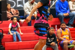 1stPickphotos-_294_377