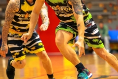 1stPickphotos-_294_423