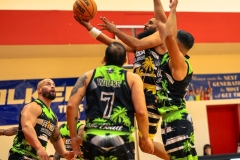 1stPickphotos-_294_452