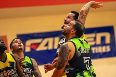 1stPickphotos-_294_475