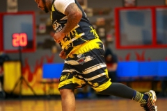 1stPickphotos-_294_478