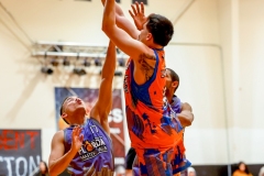 1stPickphotos-_272