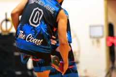 1stPickphotos-_294_252