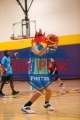 1stpickphotos.com-916