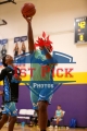 1stpickphotos.com-230