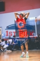 1stPickphotos.com_137