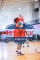 1stPickphotos.com_141