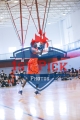 1stPickphotos.com_144
