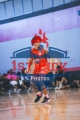 1stPickphotos.com_153