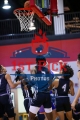 1stPickphotos.com_135