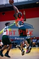 1stPickphotos.com_2