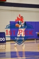1stpickphoto.com_130