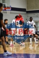 1stpickphoto.com_45