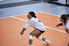 1stpick-PD727_147