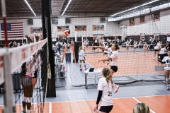 1stpick-PD727_18
