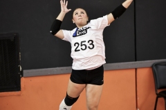 1stpick-PD727_227