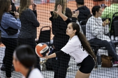 1stpick-PD727_256